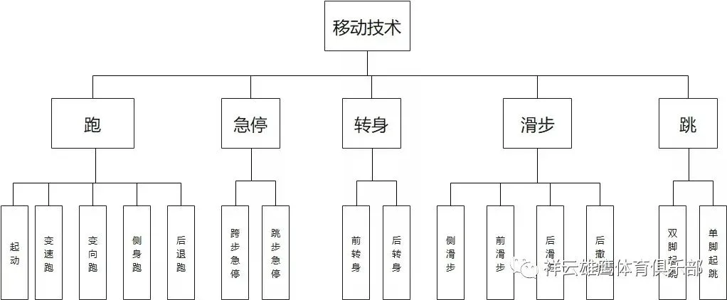 青少年篮球爱好者综合训练方案_0